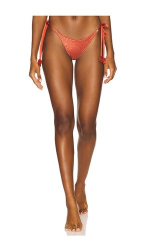 Eos Bikini Bottom in Burnt . - size L (also in M, S, XS) - Ancora - Modalova