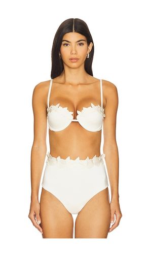 Sylva Bikini Top in . - size L (also in XS) - Ancora - Modalova