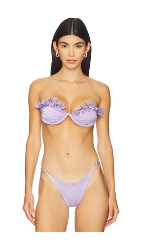 Thalamos Bikini Top in Purple. - size L (also in M, S, XL, XS) - Ancora - Modalova