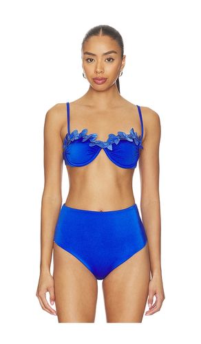 Nysa Bikini Top in . - size L (also in M, S, XS) - Ancora - Modalova