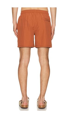 BADEHOSE in . Größe S. Also in L, XL/1X - AUTO-REPLY - Modalova