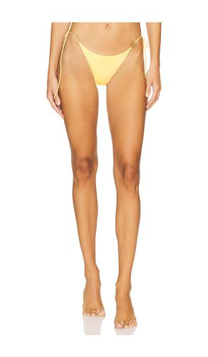 Juliana Bikini Bottom in Yellow. - size L (also in M, S, XL, XS) - Asta Resort - Modalova