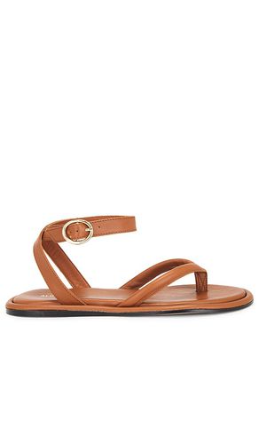 Seneca colorblock sandal in color size 35 in - . Size 35 (also in 36, 37, 41) - ALOHAS - Modalova