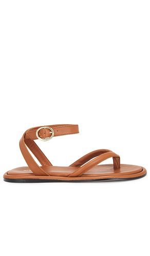 Seneca Colorblock Sandal in . - size 35 (also in 36, 41) - ALOHAS - Modalova