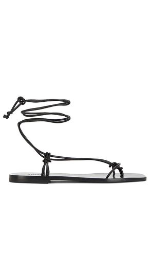 Misty sandal in color size 35 in - . Size 35 (also in 36) - ALOHAS - Modalova