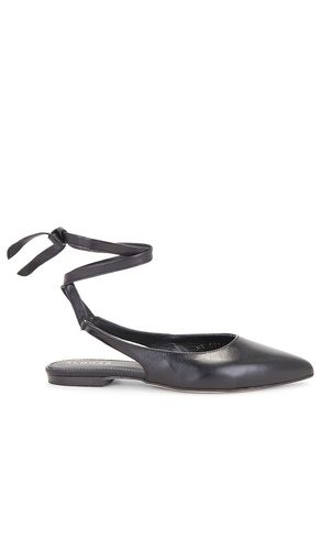 Ribbon Flat in . - size 35 (also in 37, 39) - ALOHAS - Modalova