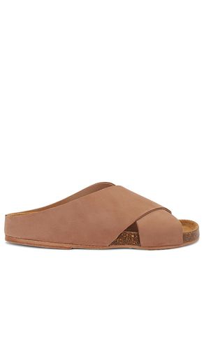 Briar sandal in color size 35 in - . Size 35 (also in 36, 37, 38, 39, 40, 41) - ALOHAS - Modalova
