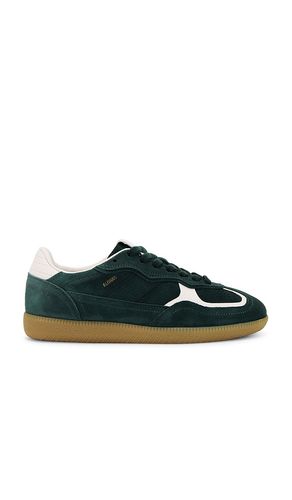 Tb.490 sneaker in color dark green size 35 in - Dark Green. Size 35 (also in 36) - ALOHAS - Modalova