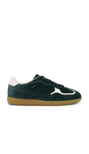 Zapatilla deportiva tb.490 en color verde oscuro talla 35 en - Dark Green. Talla 35 (también en 37, 38, 40) - ALOHAS - Modalova