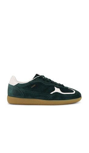 Zapatilla deportiva tb.490 en color verde oscuro talla 35 en - Dark Green. Talla 35 (también en 38) - ALOHAS - Modalova