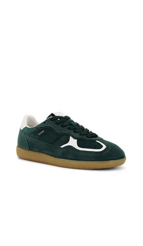 Tb.490 Sneaker in Dark Green. - size 35 (also in 36, 37, 38, 39, 40, 41) - ALOHAS - Modalova