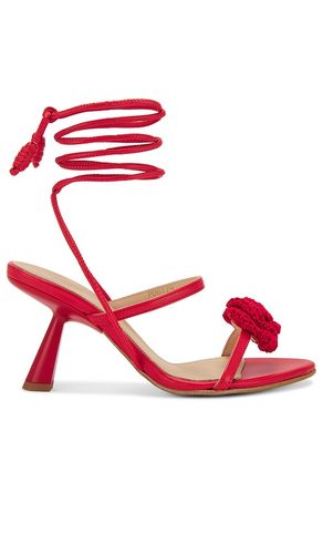 Kendra Bloom Sandal in . Size 36, 37, 38, 39 - ALOHAS - Modalova