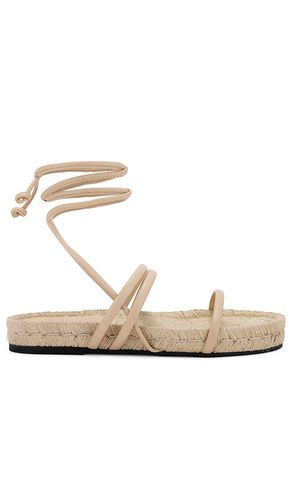 Rayna sandal in color size 35 in - . Size 35 (also in 36, 37, 39, 40, 41) - ALOHAS - Modalova