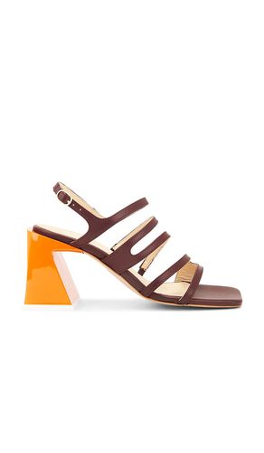 Sandalias aubrey leather en color talla 35 en - Brown. Talla 35 (también en 36, 37, 38, 39, 40, 41) - ALOHAS - Modalova