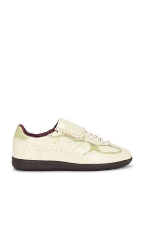 Tb.490 Sneakers in . Size 38, 39, 40 - ALOHAS - Modalova