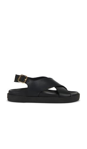 Nico Sandals in . - size 37 (also in 38, 39, 40, 41) - ALOHAS - Modalova