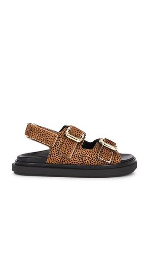 Harper Sandals in Brown. - size 36 (also in 37, 38, 39, 40, 41) - ALOHAS - Modalova