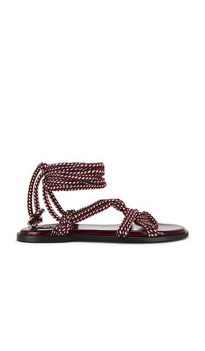Tory Sandals in . - size 35 (also in 36, 37, 38, 39, 40, 41) - ALOHAS - Modalova