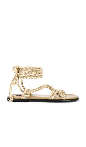 Tory Sandals in Beige. - size 36 (also in 37, 38, 39, 40, 41) - ALOHAS - Modalova