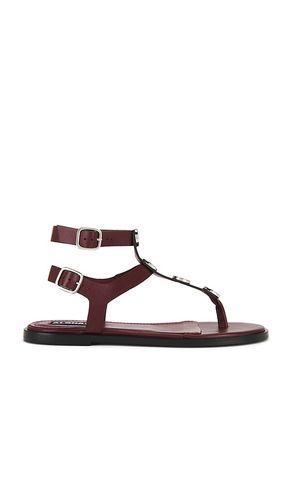 Xena Sandals in . - size 35 (also in 36, 37, 38, 39, 40, 41) - ALOHAS - Modalova