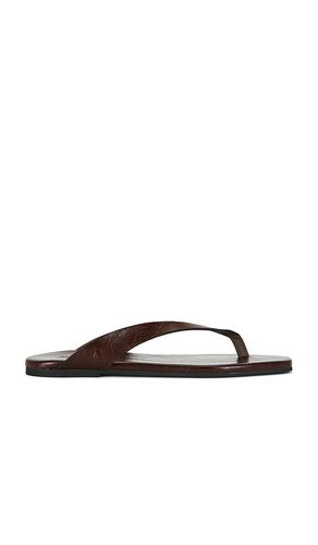 SANDALE OLA LEATHER in . Größe 36. Also in 37 - ALOHAS - Modalova