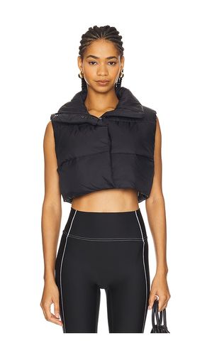 Extreme Cropped Gold Rush Puffer Vest in . - size M (also in S) - alo - Modalova