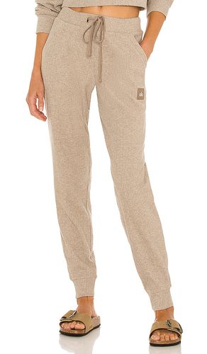 Muse jogger en color bronce talla L en - Tan. Talla L (también en M) - alo - Modalova