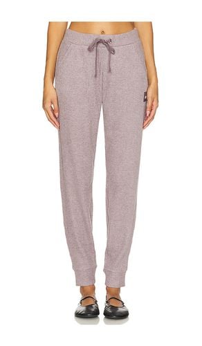 Muse Sweatpant in . Size XS - alo - Modalova