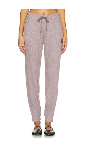 Muse Sweatpant in . Taglia S, XS - alo - Modalova