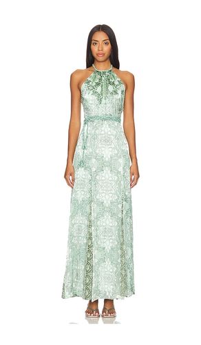 Danika Halter Maxi Dress With Belt in Teal. - size 0 (also in 6) - Alice + Olivia - Modalova