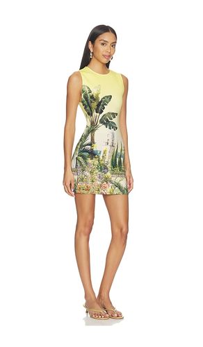 KLEID WYNELL in . Größe 12. Also in 4, 6 - Alice + Olivia - Modalova