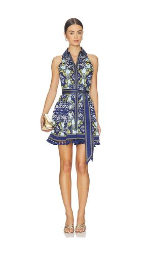 KLEID LUCY in . Größe 0. Also in 10, 2, 4 - Alice + Olivia - Modalova