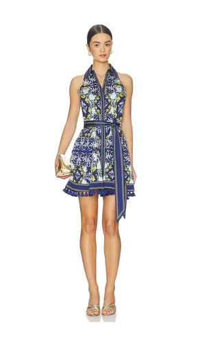 KLEID LUCY in . Größe 10. Also in 4, 8 - Alice + Olivia - Modalova