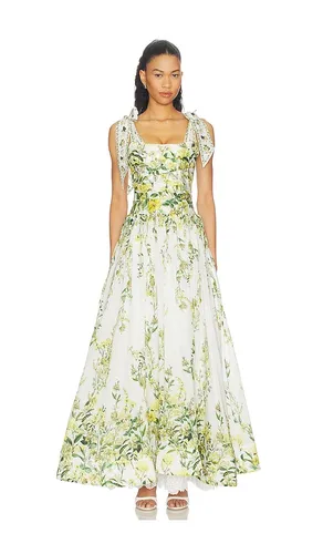 Haven Flared Maxi Dress in Green,White. - size 10 (also in 6, 8) - Alice + Olivia - Modalova