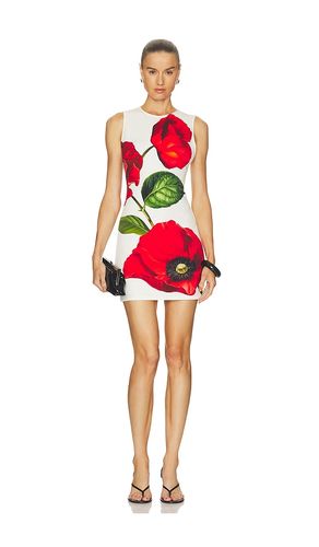 KLEID WYNELL in . Größe 0. Also in 2, 4, 6 - Alice + Olivia - Modalova