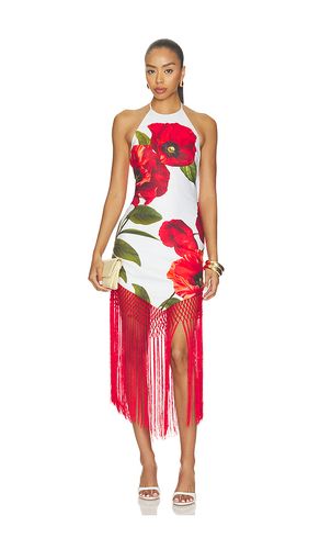 KLEID MALLORY in . Größe 0. Also in 12, 6 - Alice + Olivia - Modalova