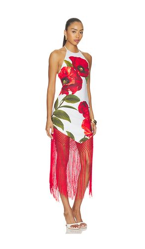 KLEID MALLORY in . Größe 10. Also in 12 - Alice + Olivia - Modalova