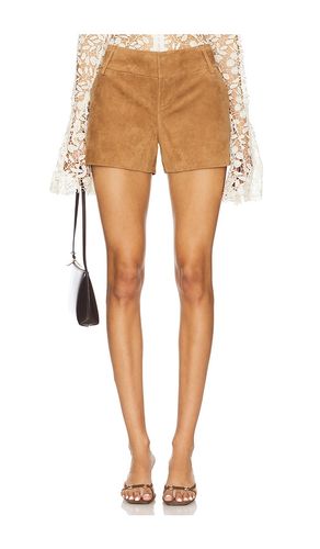 Cady Suede Short in Brown. - size 4 (also in 6) - Alice + Olivia - Modalova