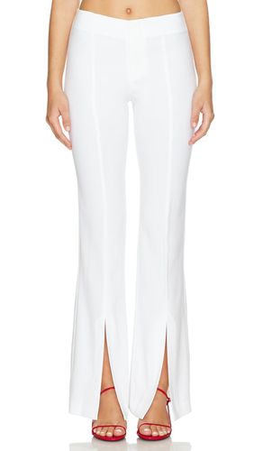 Tisa Bootcut Pant in White. - size 0 (also in 10, 14, 2, 4, 6, 8) - Alice + Olivia - Modalova