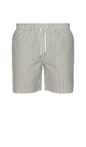 Warden Swimshorts in Grey. - size L (also in S, XL/1X) - ALLSAINTS - Modalova