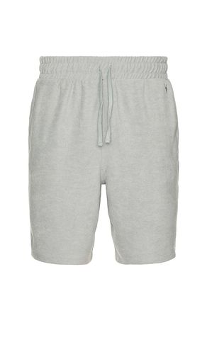 Felix Sweatshorts in Grey. - size L (also in S, XL/1X) - ALLSAINTS - Modalova
