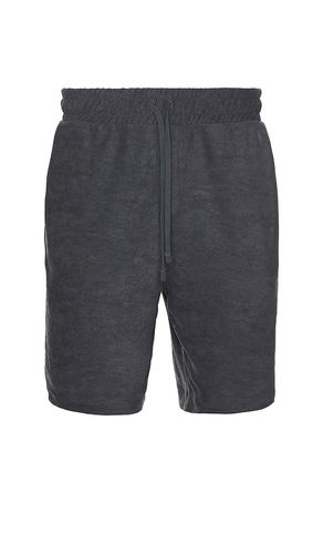 Felix Sweatshorts in Navy. - size L (also in XL/1X) - ALLSAINTS - Modalova