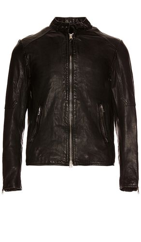 Cora Leather Jacket in . - size L (also in M) - ALLSAINTS - Modalova