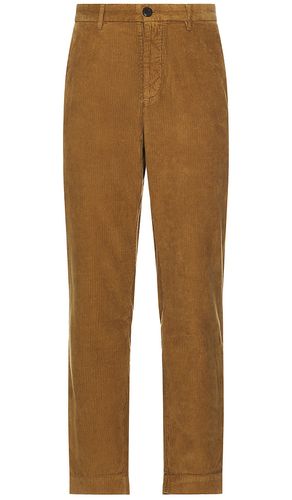 Sleid Trouser in Brown. - size 30 (also in 31) - ALLSAINTS - Modalova