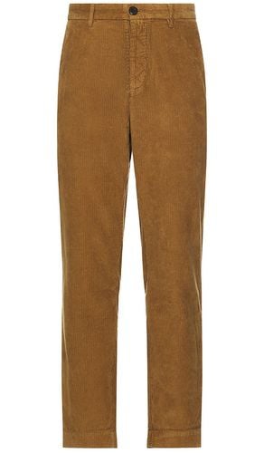 Sleid Trouser in Brown. - size 30 (also in 36) - ALLSAINTS - Modalova