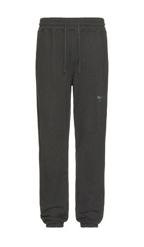 Underground Sweatpant in Grey. - size L (also in M) - ALLSAINTS - Modalova