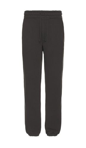 Haven Sweatpant in Black. - size L (also in M, S) - ALLSAINTS - Modalova