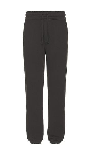 Haven Sweatpant in Black. - size L (also in M, S, XL/1X) - ALLSAINTS - Modalova