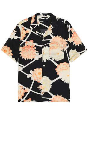 Sakura Shirt in Black. - size L (also in XL/1X) - ALLSAINTS - Modalova