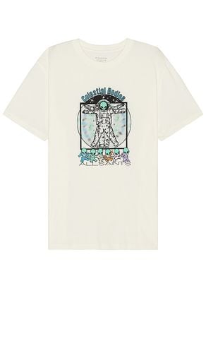 Bodies Tee in White. - size L (also in M) - ALLSAINTS - Modalova